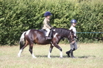 Class 25 - Absolute Beginners Pony portfolio