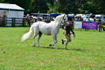SBM_03898