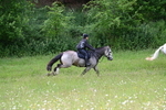 WJ7_8645