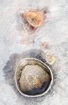 PLANETARY INFLUENCE, 2018 - LONG POINT BEACH