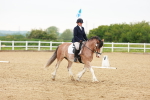 SBM_005993