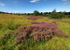 Manor Fields Park #04
