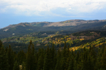 Fall in Sierra Madre