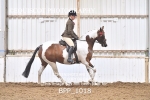BPP_1018