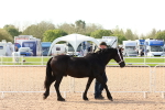 SBM_17973