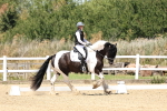 SBM_001584