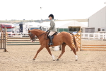 SBM_04261