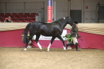 SBM_05520