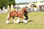 SBM_08636