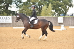 SBM_10152