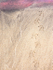 BIRD TRACKS AND SAND PATTERNS - LONG POINT BEACH