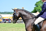 SBM_17501