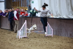 SBM_005871