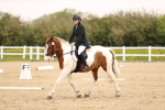 SBM_006894
