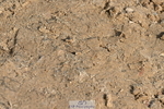251004A-134513-01328