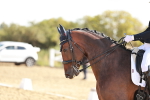 SBM_008818