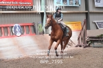BPP_7195