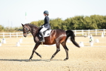 SBM_016866