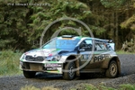GLENS 5