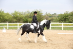 SBM_007259