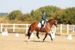 SBM_016706