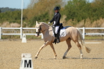 SBM_001553