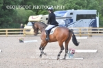 BPP_0347