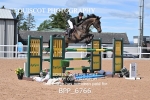 BPP_6766