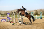 SBM_001553
