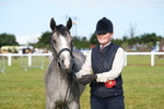 Class 47: NPS M&M Yearling portfolio