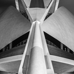 Mono, Palau de les Arts Reina Sofia, Valencia - Portrait Version