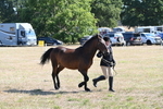 WJ6_7534