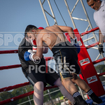 BOUT 6 - Tony -Foxey- Fox v Tyler -the Lion- Quintels-14