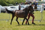 DSC05486