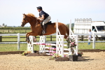 SBM_003716