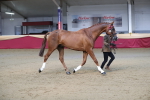SBM_00547