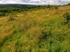 Sally Clark's Meadow