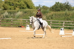 Dressage - 27-7-24 portfolio