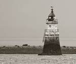 Plover Scar Front Light 01