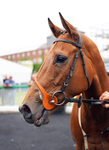 160626-Race 5-Emerald Harmony-9