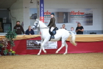 SBM_06253