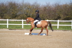 SBM_001984