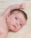 Brinley_055