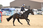 SBM_001684