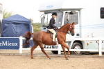 SBM_01653