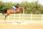 SBM_010362