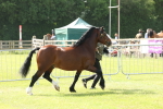 SBM_02140