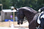 260802A-143450-07270