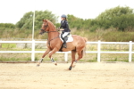 SBM_004961