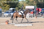 BPP_8577